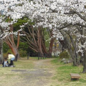 観月台公園