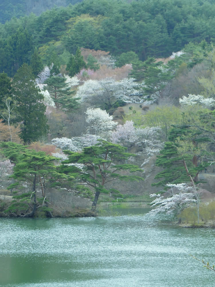 半田沼 9