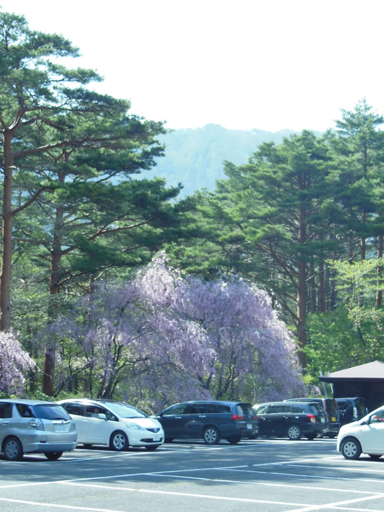 駐車場からの半田山