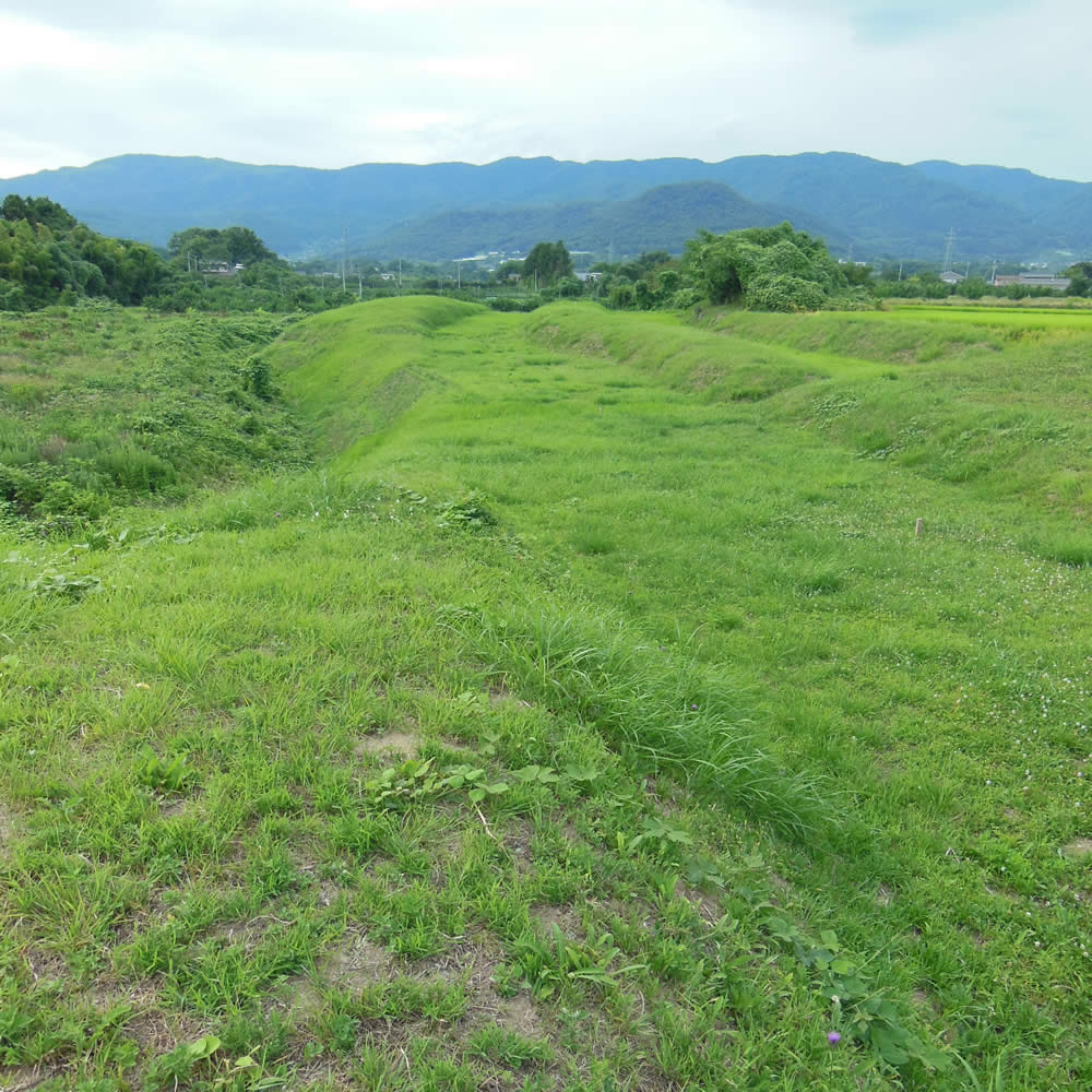 阿津賀志山防塁 二重堀地区